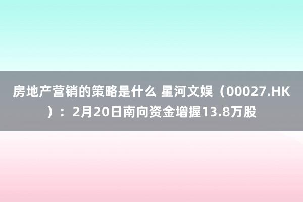 房地产营销的策略是什么 星河文娱（00027.HK）：2月20日南向资金增握13.8万股