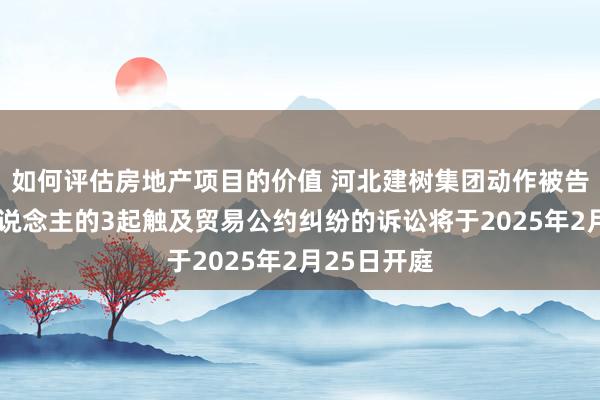 如何评估房地产项目的价值 河北建树集团动作被告/被上诉东说念主的3起触及贸易公约纠纷的诉讼将于2025年2月25日开庭