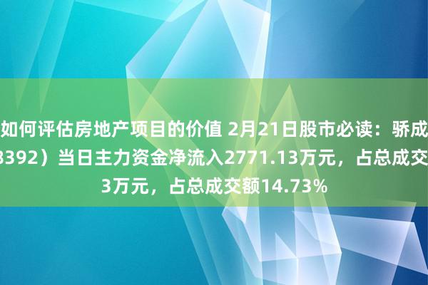 如何评估房地产项目的价值 2月21日股市必读：骄成超声（688392）当日主力资金净流入2771.13万元，占总成交额14.73%