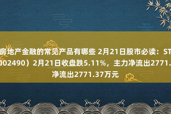 房地产金融的常见产品有哪些 2月21日股市必读：ST墨龙（002490）2月21日收盘跌5.11%，主力净流出2771.37万元