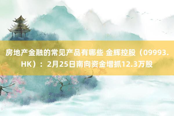 房地产金融的常见产品有哪些 金辉控股（09993.HK）：2月25日南向资金增抓12.3万股