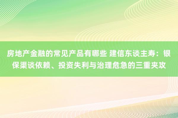 房地产金融的常见产品有哪些 建信东谈主寿：银保渠谈依赖、投资失利与治理危急的三重夹攻