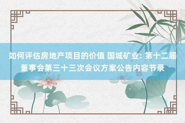 如何评估房地产项目的价值 国城矿业: 第十二届董事会第三十三次会议方案公告内容节录