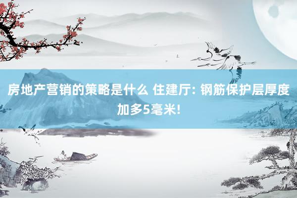 房地产营销的策略是什么 住建厅: 钢筋保护层厚度加多5毫米!