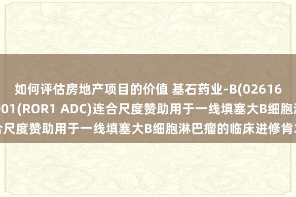 如何评估房地产项目的价值 基石药业-B(02616)在澳大利亚递交CS5001(ROR1 ADC)连合尺度赞助用于一线填塞大B细胞淋巴瘤的临床进修肯求