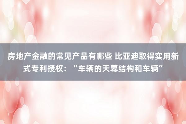 房地产金融的常见产品有哪些 比亚迪取得实用新式专利授权：“车辆的天幕结构和车辆”