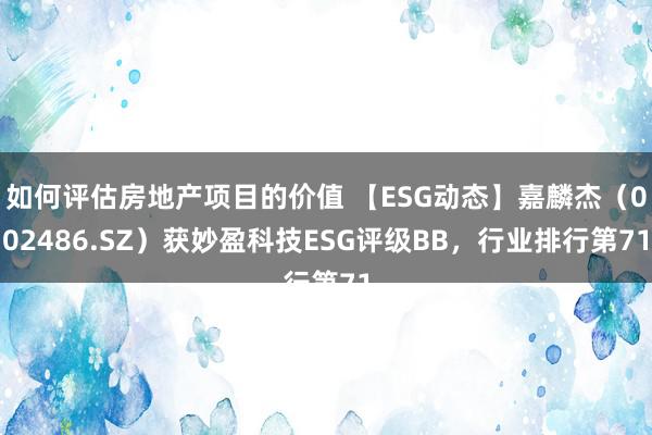 如何评估房地产项目的价值 【ESG动态】嘉麟杰（002486.SZ）获妙盈科技ESG评级BB，行业排行第71