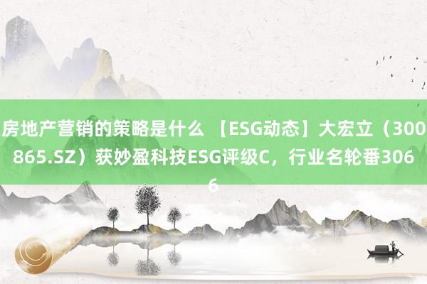 房地产营销的策略是什么 【ESG动态】大宏立（300865.SZ）获妙盈科技ESG评级C，行业名轮番306