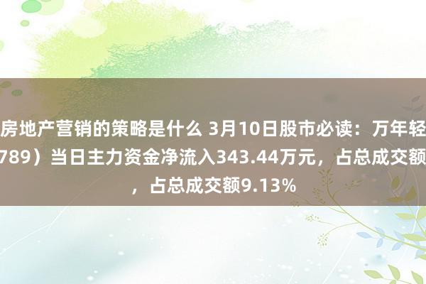 房地产营销的策略是什么 3月10日股市必读：万年轻（000789）当日主力资金净流入343.44万元，占总成交额9.13%