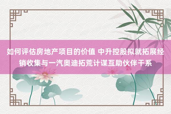 如何评估房地产项目的价值 中升控股拟就拓展经销收集与一汽奥迪拓荒计谋互助伙伴干系