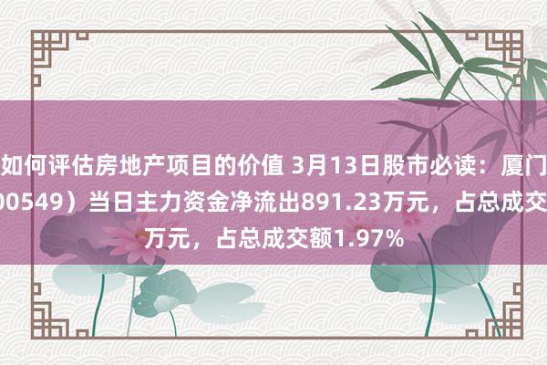 如何评估房地产项目的价值 3月13日股市必读：厦门钨业（600549）当日主力资金净流出891.23万元，占总成交额1.97%