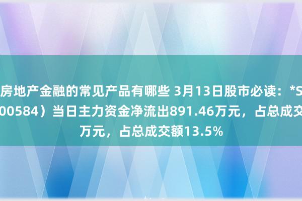 房地产金融的常见产品有哪些 3月13日股市必读：*ST工智（000584）当日主力资金净流出891.46万元，占总成交额13.5%