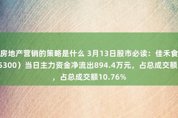 房地产营销的策略是什么 3月13日股市必读：佳禾食物（605300）当日主力资金净流出894.4万元，占总成交额10.76%