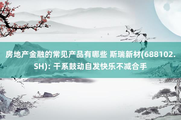 房地产金融的常见产品有哪些 斯瑞新材(688102.SH): 干系鼓动自发快乐不减合手