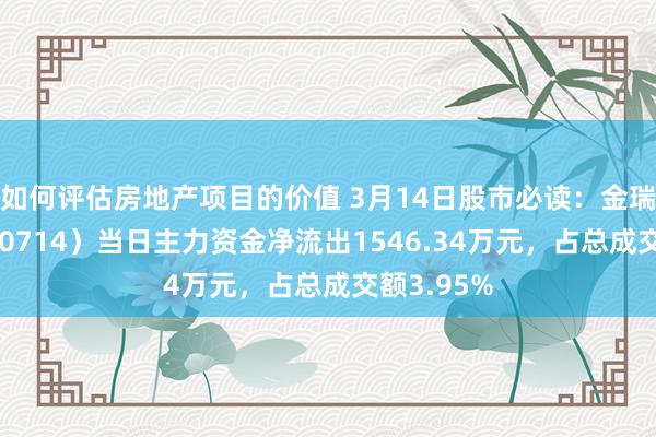 如何评估房地产项目的价值 3月14日股市必读：金瑞矿业（600714）当日主力资金净流出1546.34万元，占总成交额3.95%