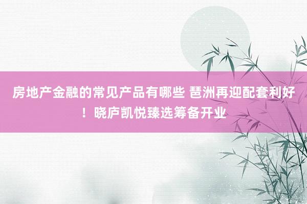 房地产金融的常见产品有哪些 琶洲再迎配套利好！晓庐凯悦臻选筹备开业