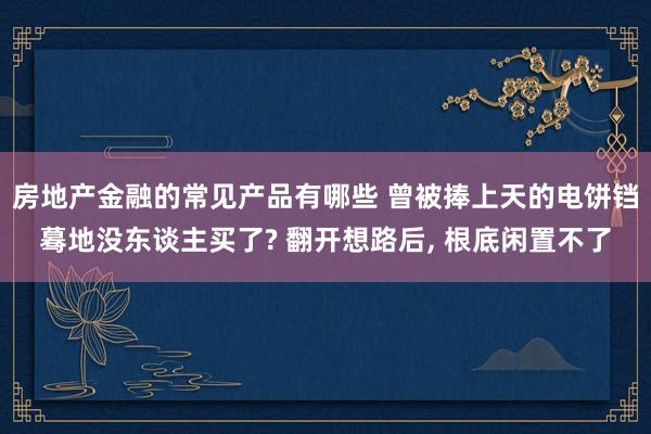 房地产金融的常见产品有哪些 曾被捧上天的电饼铛蓦地没东谈主买了? 翻开想路后, 根底闲置不了